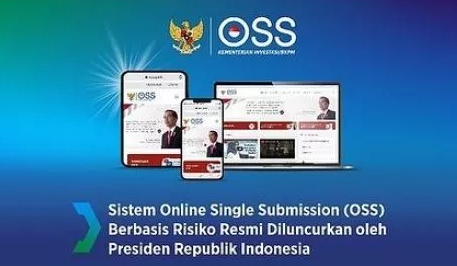 fungsi dan peran oss